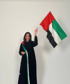 Alternative view of N004