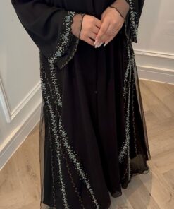 Alternative view of r017