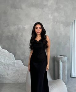 Alternative view of Drees 03